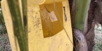 IMG_6591