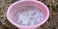 Open Water Trap