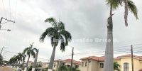 PALMERA REAL URB STA MA CASAGRANDE 22ABRIL019 (2)
