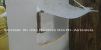 Trampa de 5 lts con fero metalure. Hda. Ma. Antonieta. marca de agua